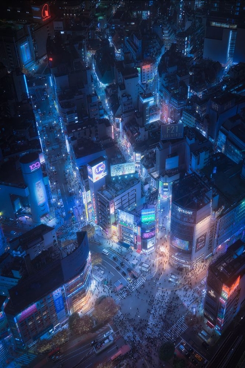 Picture of FLYING SHIBUYA