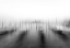 Picture of VENEZIA (AUADANDFRAC14;AEM)