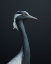 Picture of LA DEMOISELLE