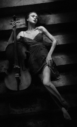 Picture of THE CELLIST