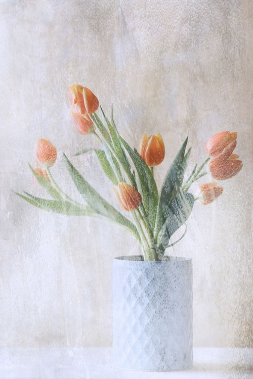 Picture of A BUNCH OF TULIPS