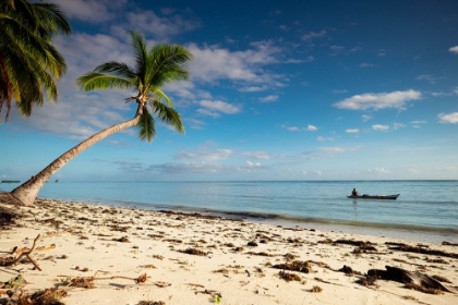 Picture of A LONE FISHERMAN