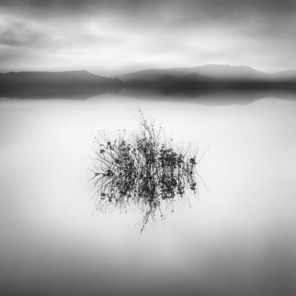 Picture of LAKE REFLECTIONS II