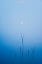 Picture of MELANCHOLY