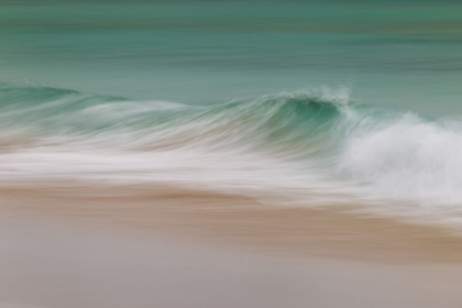 Picture of WAVE