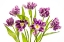 Picture of VIBRANT SPRING