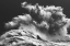 Picture of BIRDS IN THE STORM (PART 11)