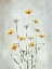 Picture of SUMMER FLOWERS