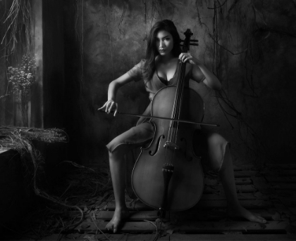 Picture of THE CELLIST