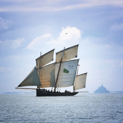 Picture of BOAT-BIRD AND MOUNT