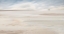 Picture of SURFER