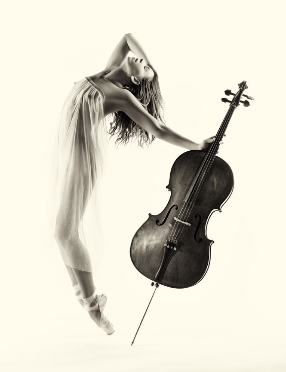 Picture of THE CELLO DANCE