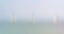 Picture of SERENITY