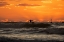 Picture of SURFER AT SUNSET