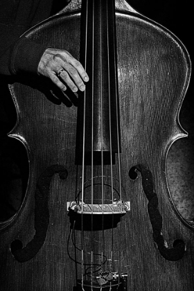 Picture of JAZZ