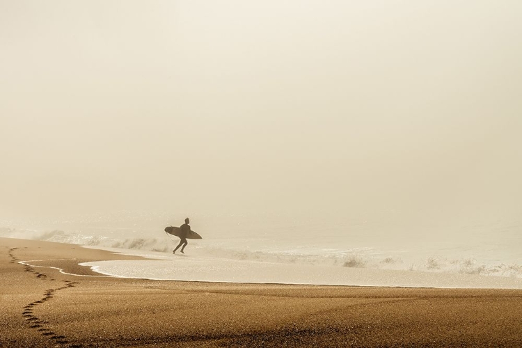 Picture of SURFER