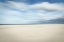 Picture of BIRDS AT THE SEASIDE