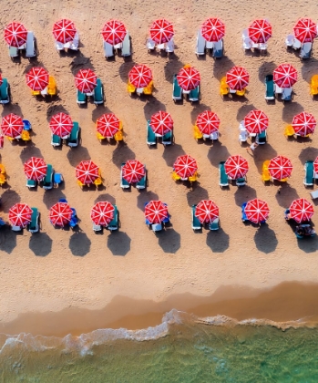 Picture of PARASOLS PARADE