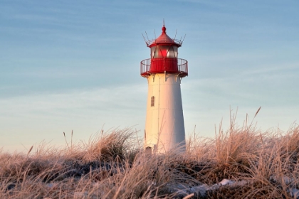 Picture of LIGHTHOUSE ON WINTER MORNING