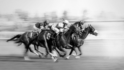 Picture of HORSE RACING @ QUEENS PLATE