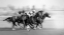Picture of HORSE RACING @ QUEENS PLATE