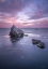 Picture of THE ELOQUENCE OF SILENCE