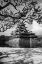 Picture of MATSUMOTO CASTLE