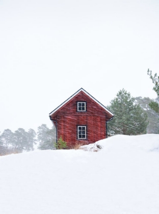 Picture of OLD RED HOUSE DURING SNOWSTORM