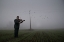 Picture of THE VIOLIN TEACHER