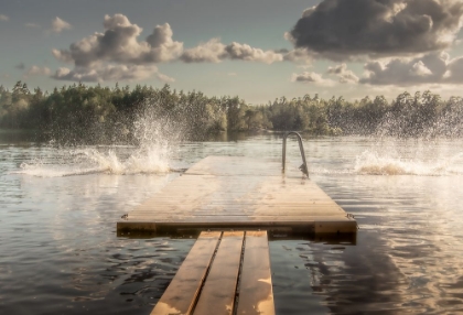 Picture of THE DIVING BOARD