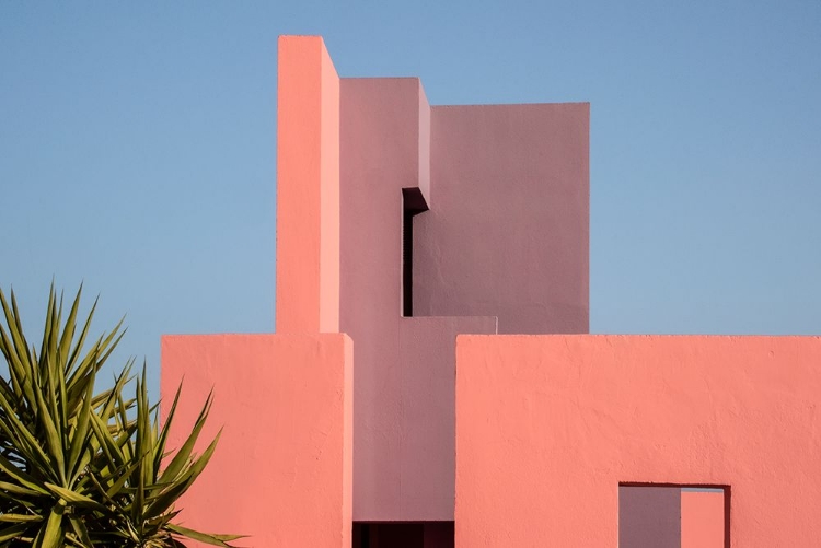 Picture of MURALLA ROJA #49