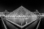 Picture of NIGHT JEWEL