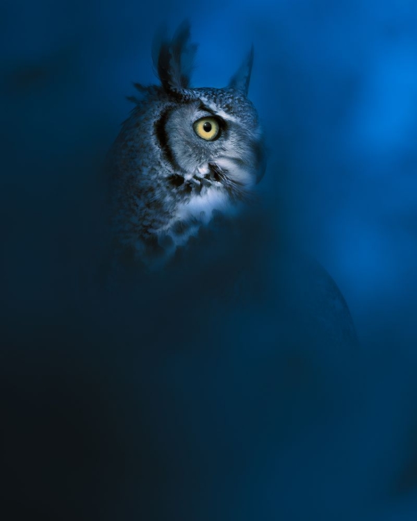 Picture of BLUE