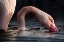 Picture of SENZA TITOLO