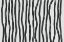 Picture of WAVES OF LIFE