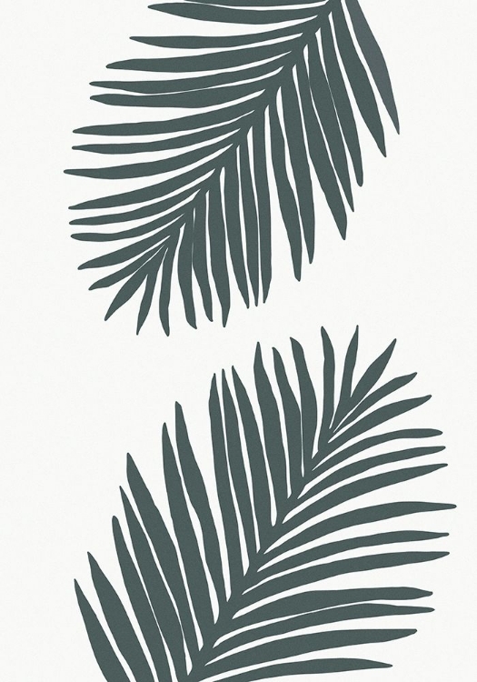 Picture of PALM LEAF COLOR MATCHED 01