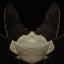 Picture of LANGUISHING THOUGHTS