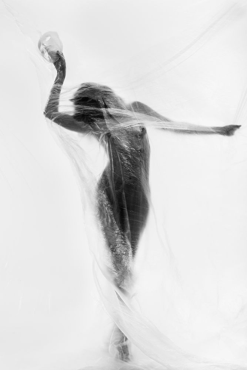 Picture of THE MASK DANCE