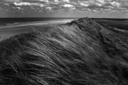 Picture of DUNES HAIR.