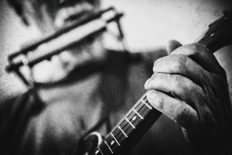 Picture of WOLF WITH MANDOLIN AND HARMONICA