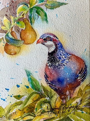 Picture of PARTRIDGE IN PEAR TREE