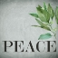 Picture of PEACE SQUARE