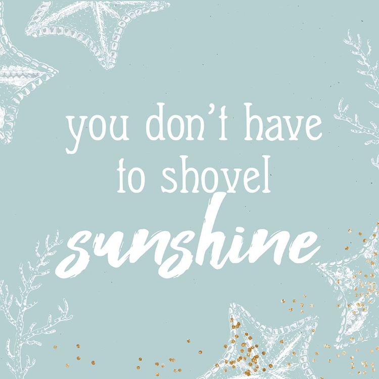 Picture of SHOVEL SUNSHINE