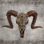 Picture of BONE YARD 2 V2