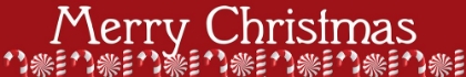 Picture of MERRY CHRISTMAS CANES