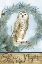 Picture of WINTER OWL