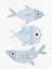 Picture of FISH 1