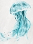 Picture of JELLY JELLY TEAL 2