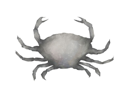 Picture of GREY CRAB