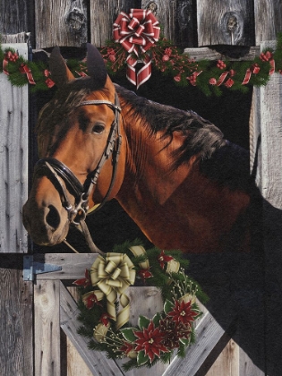 Picture of CHRISTMAS FRIEND